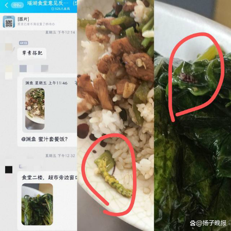 “鼠头鸭脖”涉事食堂意见反馈群曝光 每个月都有大量投诉